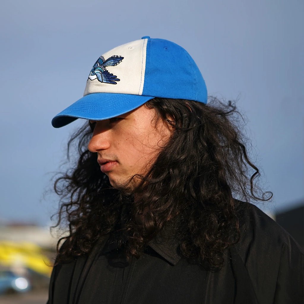 Blue Jay Dad Hat - Town City