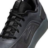 Zoom Nyjah 4 - Cool Grey/White-Wolf Grey-Cool Grey