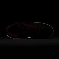 Dunk Low Pro x Riot Skateshop - Mahogany/Dark Beetroot-Team Red-Sail