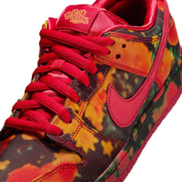 Wizard Of Oz Poppy Field Dunk Low Pro - Gym Red/University Red Multi-Color