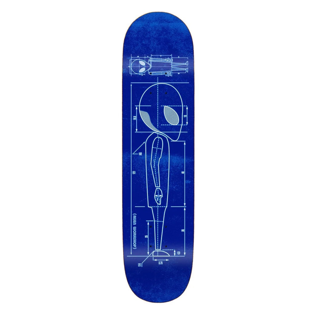 Blueprint 2 - 8.75"