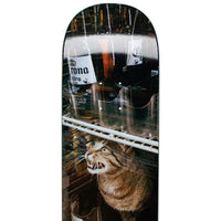 Bodega Cat - 8.5