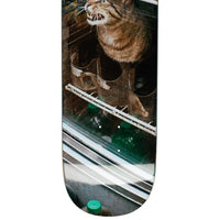 Bodega Cat - 8.5