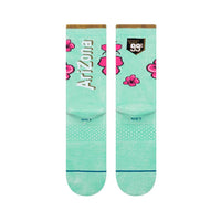 Arizona 99 Cents - Town City