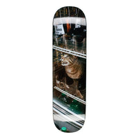 Bodega Cat - 8.5 - Town City