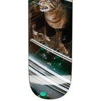 Bodega Cat - 8.5 - Town City
