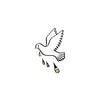 Dove T-Shirt - White - Town City