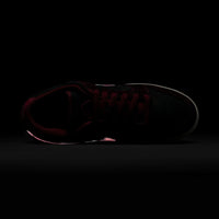 Dunk Low Pro x Riot Skateshop - Mahogany/Dark Beetroot - Team Red - Sail - Town City