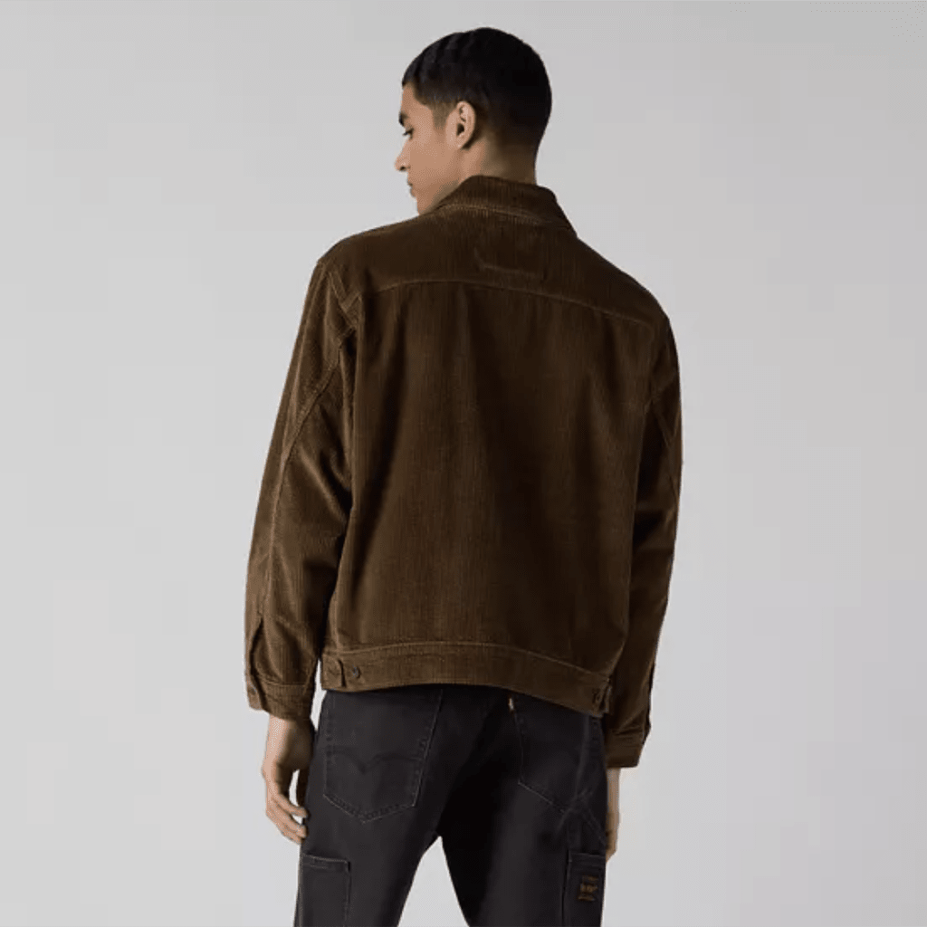 Sunrise Jacket in - Desert Palm - Town City