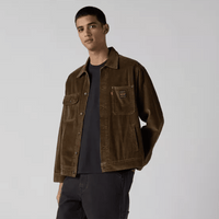 Sunrise Jacket in - Desert Palm - Town City